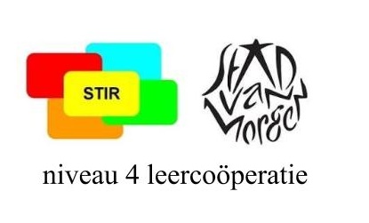 logo-stir-niveau-4